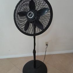 Tall Fan