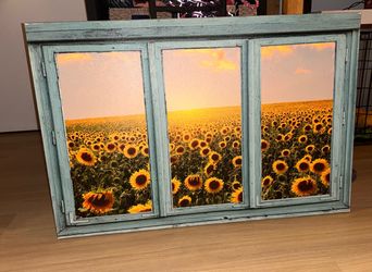 Sunflower field canvas print