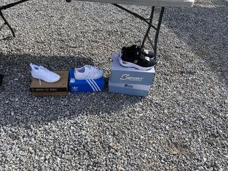 Tenis