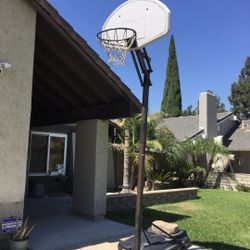 Basketball 🏀 Court