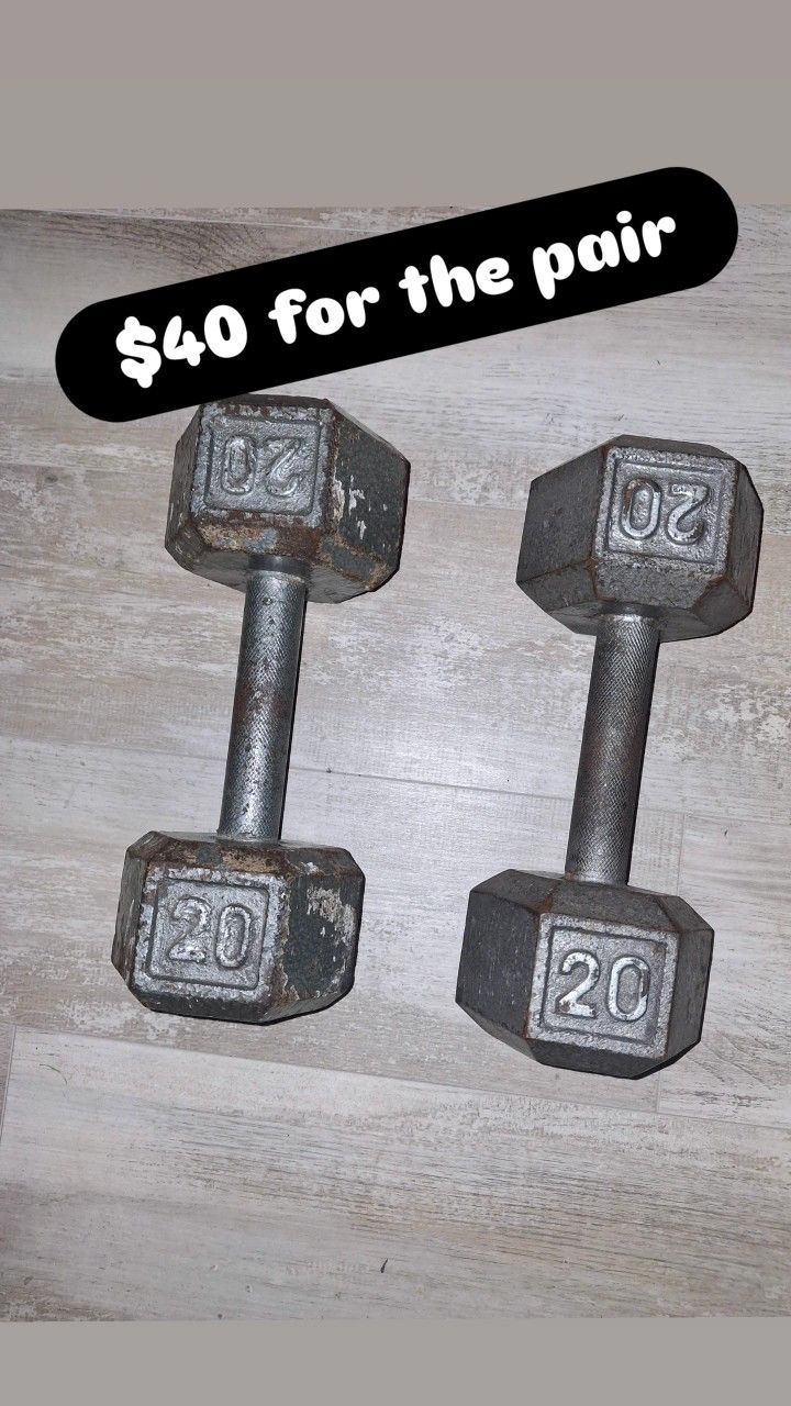 Pair Of 20lb Dumbell