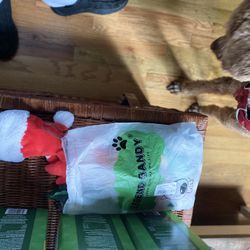 Small Dog Toys And Xmas Hat
