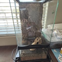 18x18x24 Zoomed Naturalistic Terrarium 