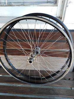 Sun/ Primo 24" Wheels