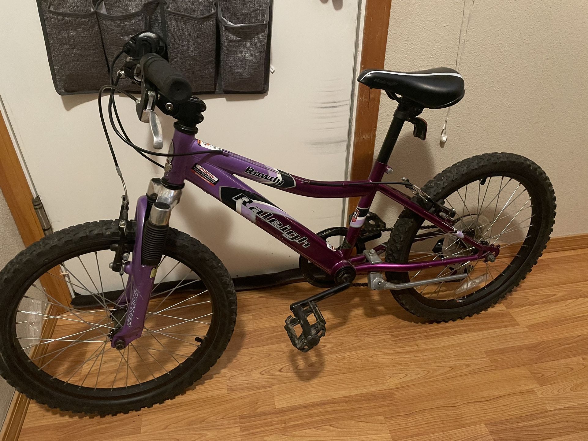 Kids Raleigh Rowdy 20” 20 Inch Bike 6 Speeds Hybrid