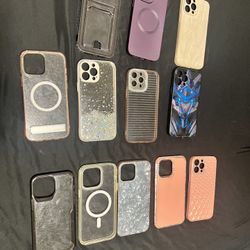 iPhone 13 Pro Max Cases 