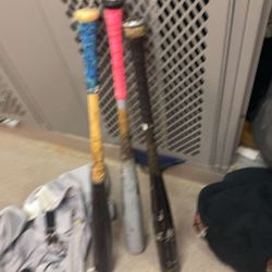 Bats 