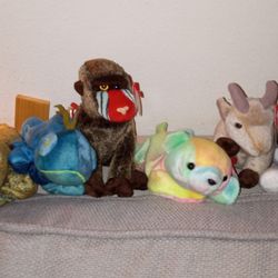 Beanie Babies Collection