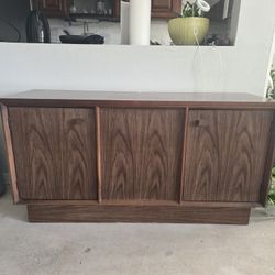 TV Stand/cabinet 