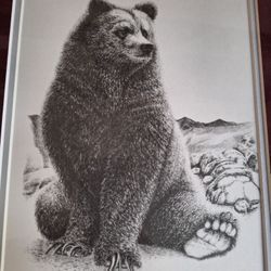 Bear Print From Alaska