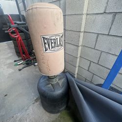 Punching Bag