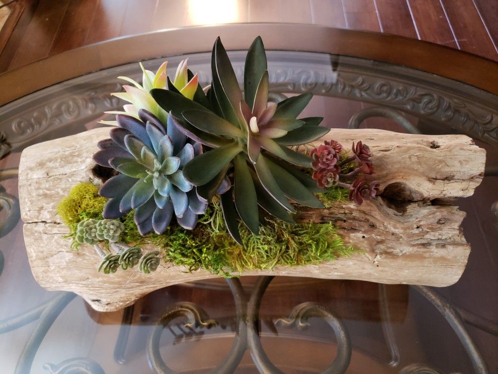 Beautiful Handcrafted Unique Driftwood Centerpiece With Lovely Large Artificial Succulents & Moss Décor (Medium Size)