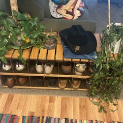 Shoe Rack /bench 
