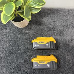 Dewalt 5ah Batteries Set Of 2 