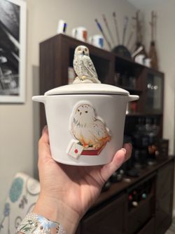 Harry Potter Hedwig Snowy Owl Kitchen Canister