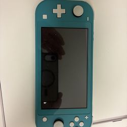 Switch lite