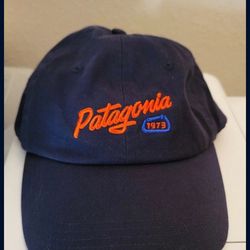 Patagonia Hat