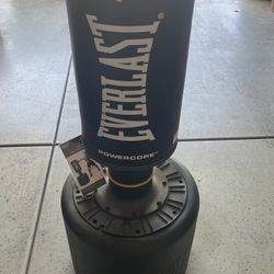 Everlast Water Filled Adjustable Height Punching Bag 