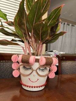 Lady Plants 