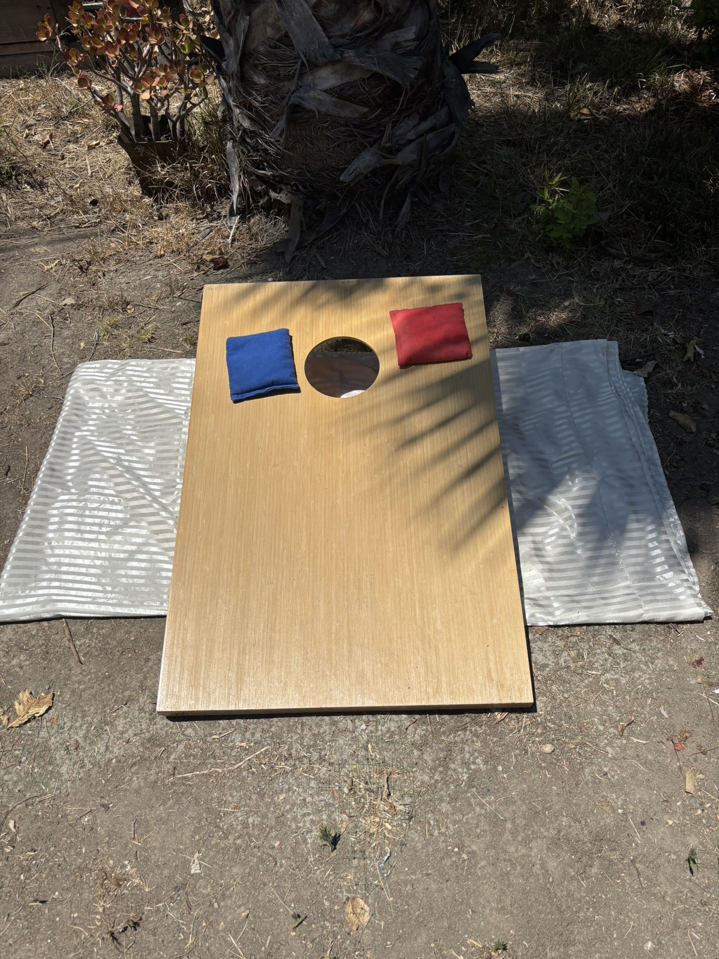 Cornhole Set