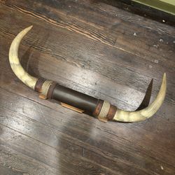 Vintage Bull Horns 