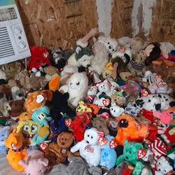 TY Beanie BABIES