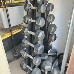 Dumbbells Set 