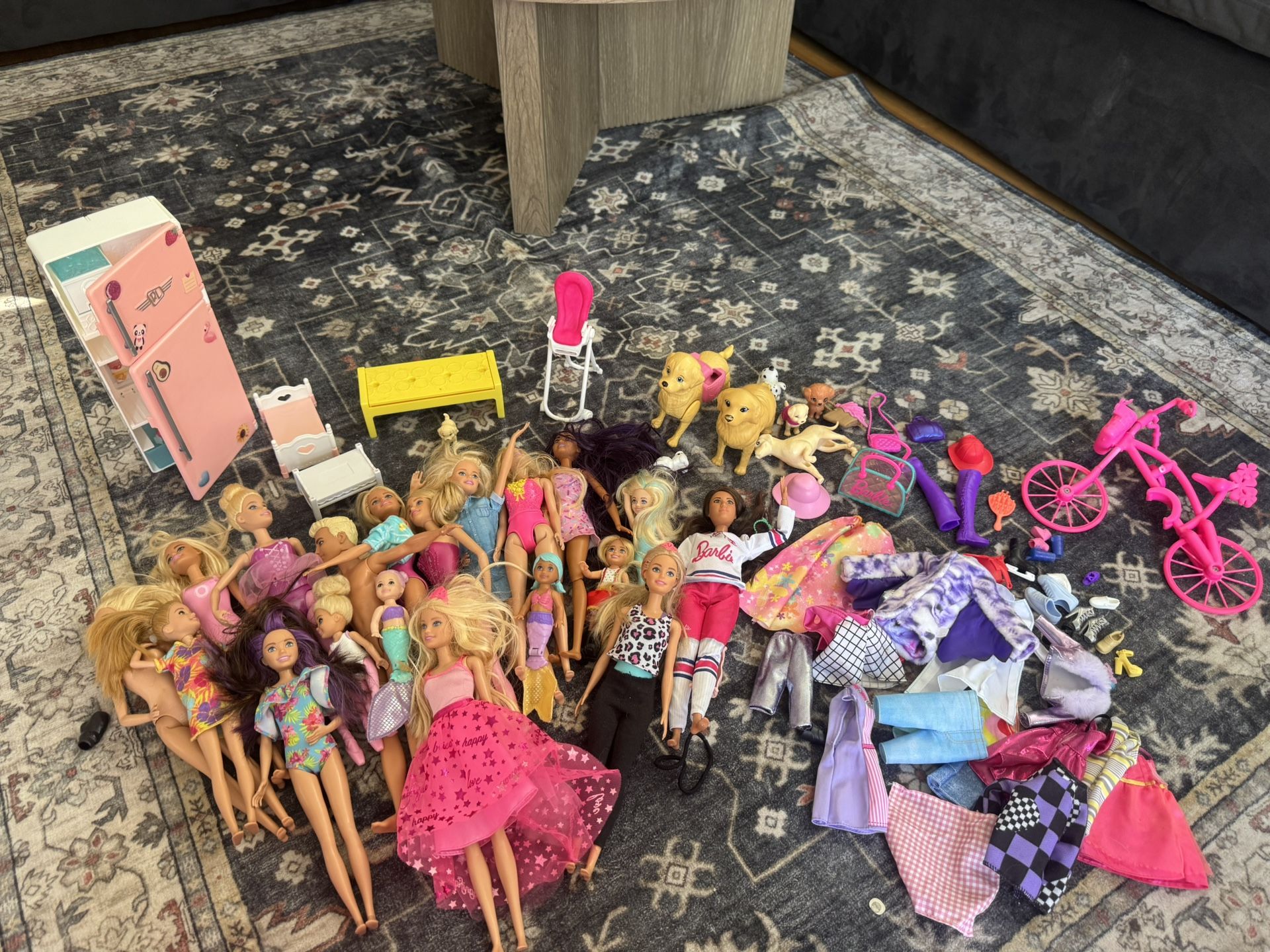 Barbies, Barbie Clothes, Barbie Shoes, Barbie Pets Bundle