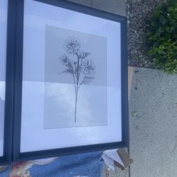 Decorative Art Pair