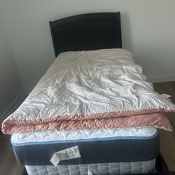 Single bed & Mattress 