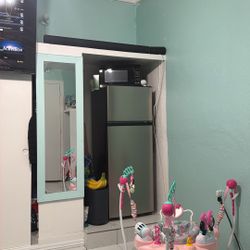 Fridge And Microwave 