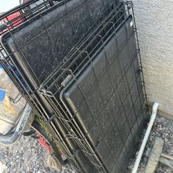 Dog Kennel