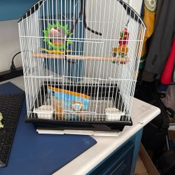 Bird cage