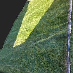 15' 5" X 18' 5" Roll Of Synthetic Grass 