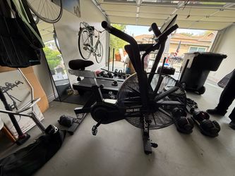 Rogue Echo Bike