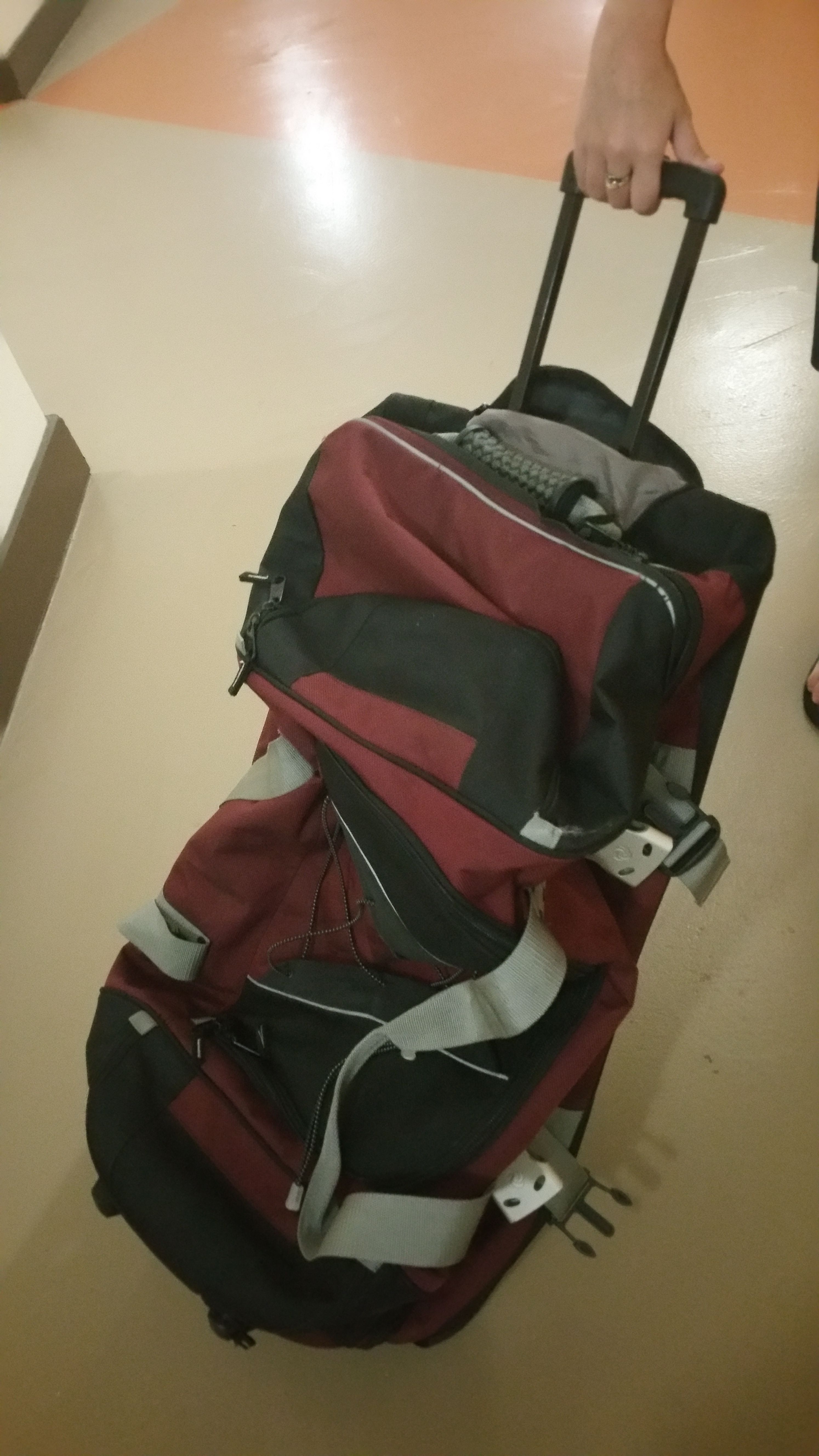 Samsonite travel bag