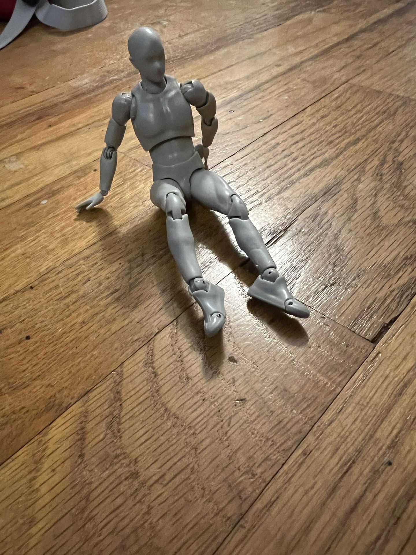 Figure For Modeling 