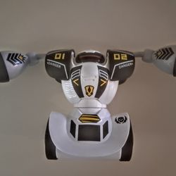 Battle Robot and Remote Control