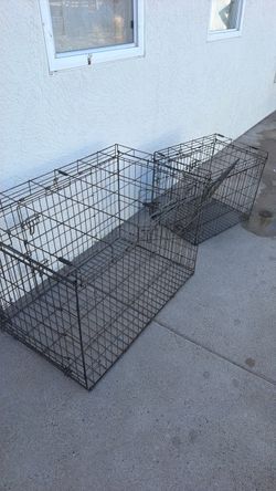 2 dog kennels