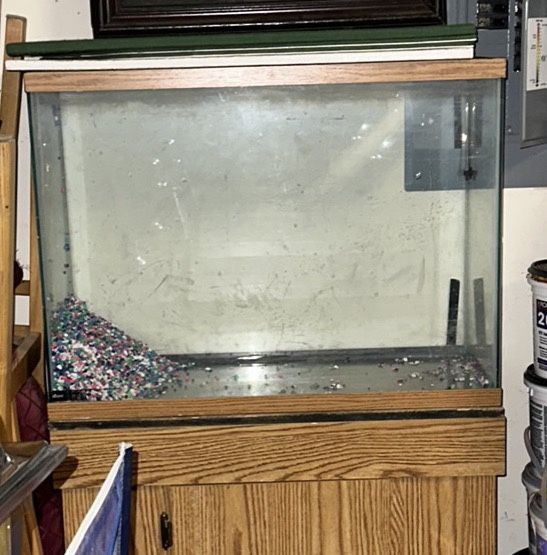 Fish Aquarium 