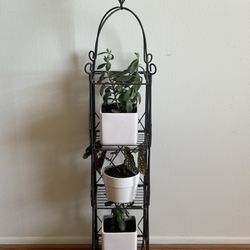 3 plants in white ceramic pots with metal shelf