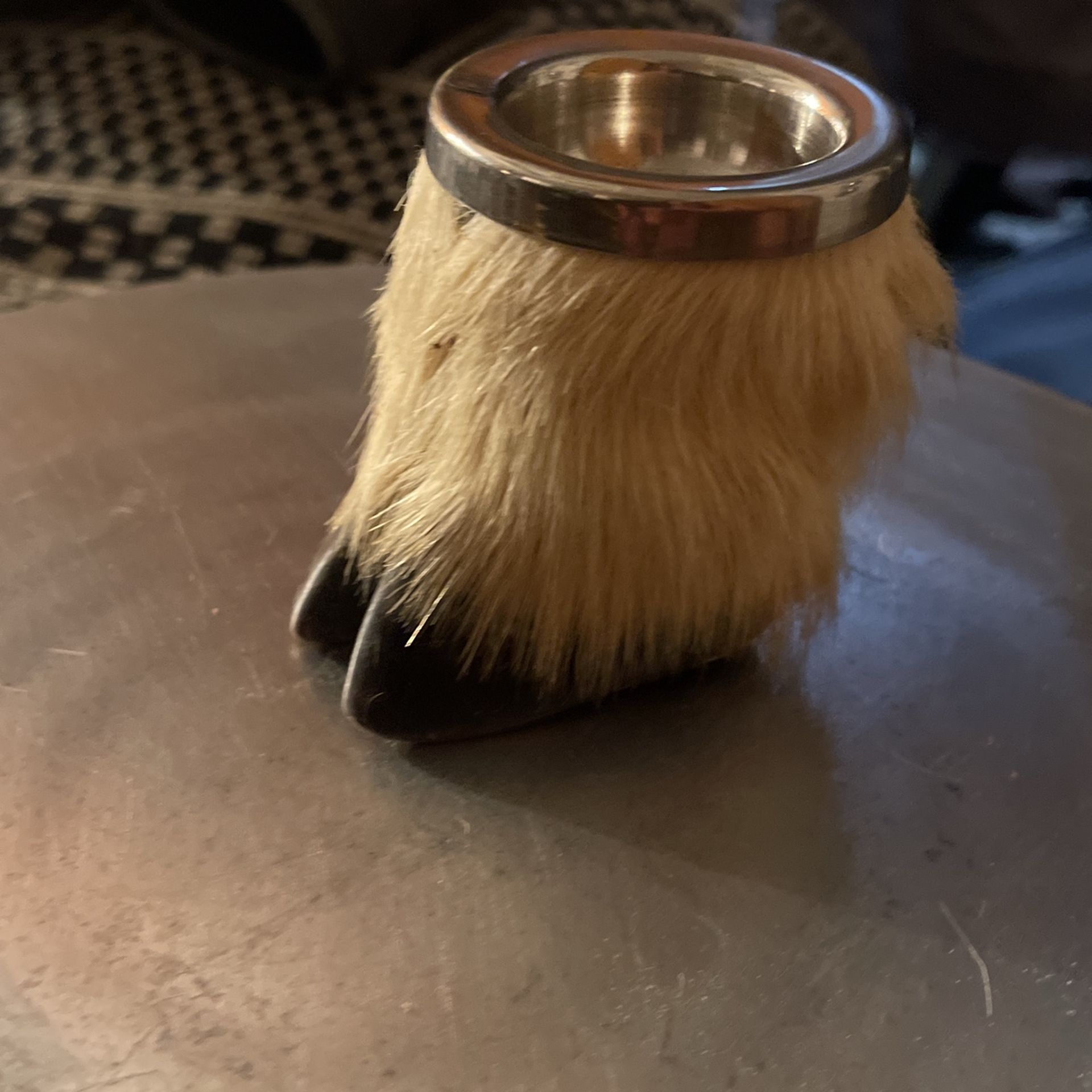 Antique Taxidermy Ram Hoof Ashtray