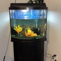 Within The Aquarium 