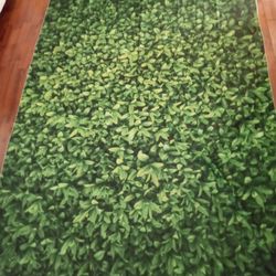 Party Walls And balloon S With  Props 