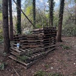 Free Pallets 