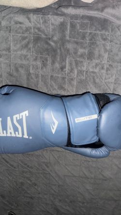 Everlast Boxing Gloves (16oz)