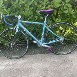 GIANT ALUXX BUTTED 6000 SERIES 