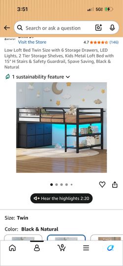 Twin Size low loft bed