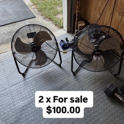 Pair Of Fans