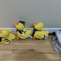 Graduation Ducks